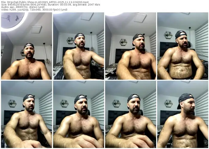 stripchat-adonis_art01-11-13-2025-22-42-00