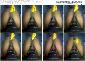 stripchat-apexo45-11-13-2025-17-09-26
