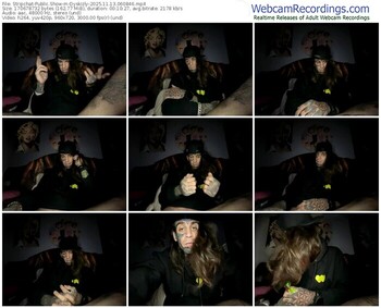 stripchat-dyskizly-11-13-2025-06-08-46