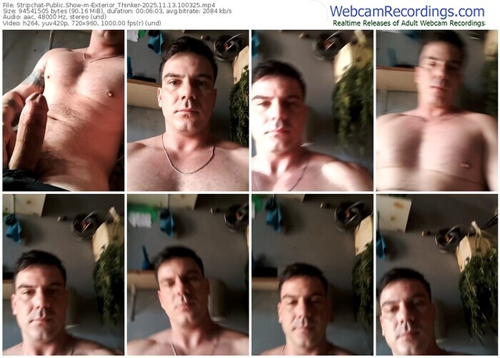 stripchat-exterior_thinker-11-13-2025-10-03-25