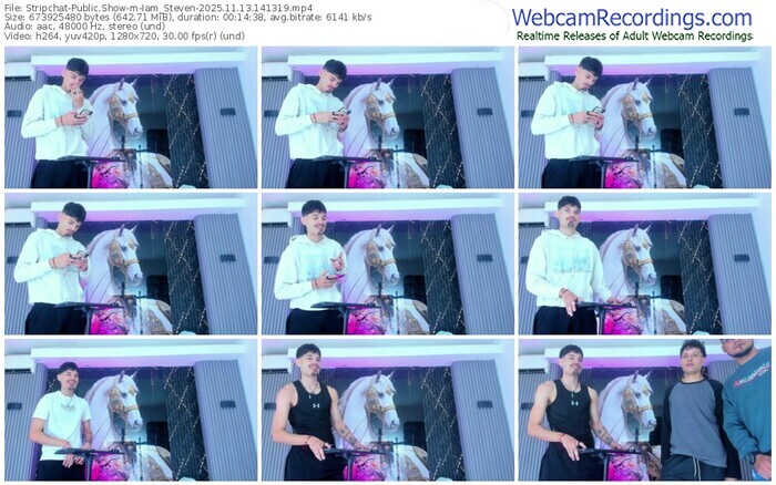 stripchat-iam_steven-11-13-2025-14-13-19