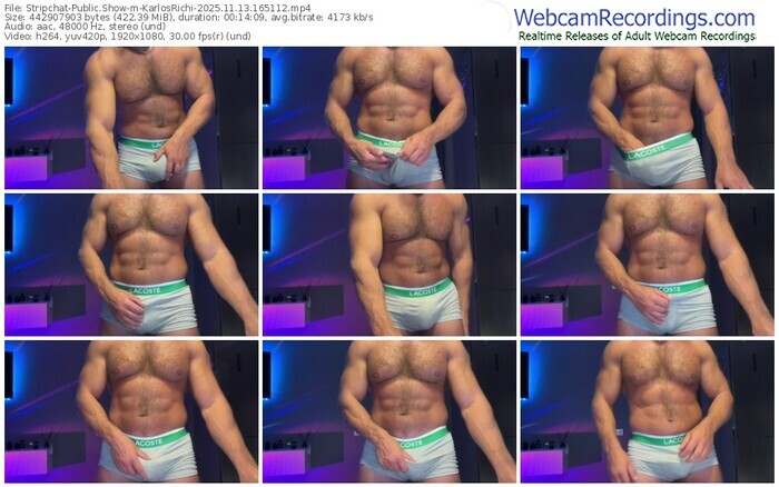 stripchat-karlosrichi-11-13-2025-16-51-12