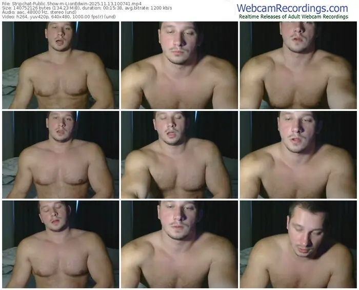 stripchat-lionedwin-11-13-2025-10-07-41
