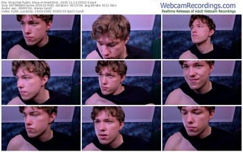 stripchat-markshot_-11-13-2025-23-52-13