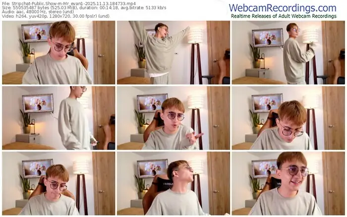 stripchat-mr_evan1-11-13-2025-18-47-33