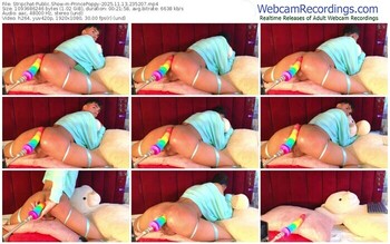 stripchat-princepoppy-11-13-2025-23-52-07