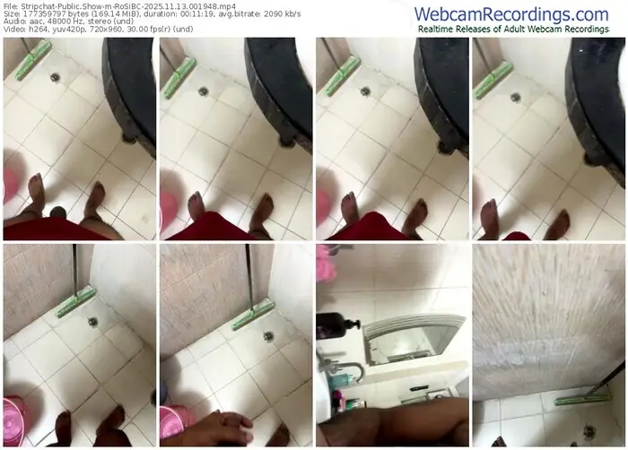 stripchat-rosibc-11-13-2025-00-19-48