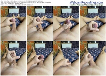 stripchat-sextigr2003-11-13-2025-16-15-15