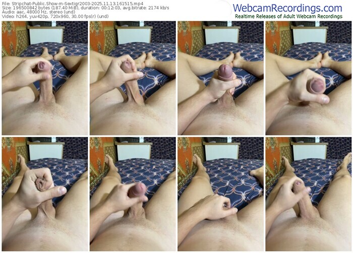 stripchat-sextigr2003-11-13-2025-16-15-15