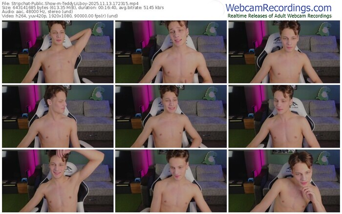 stripchat-teddylilboy-11-13-2025-17-23-15