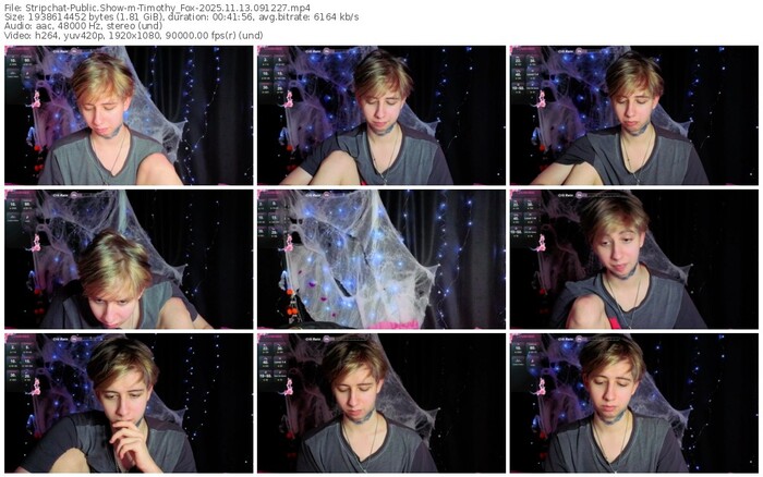 stripchat-timothy_fox-11-13-2025-09-12-27