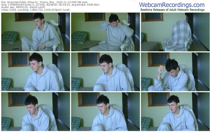 stripchat-_timmy_boy_-11-13-2025-09-57-48