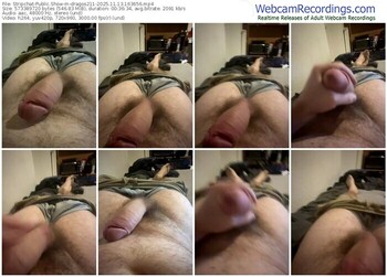 stripchat-dragos211-11-13-2025-16-36-56