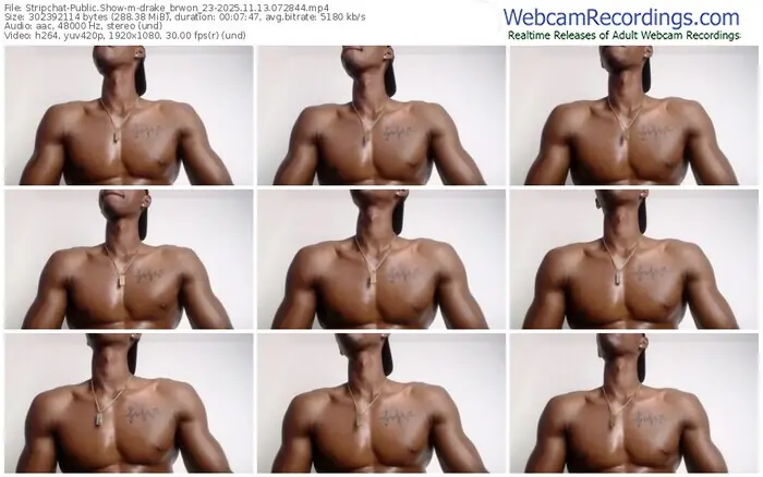 stripchat-drake_brwon_23-11-13-2025-07-28-44