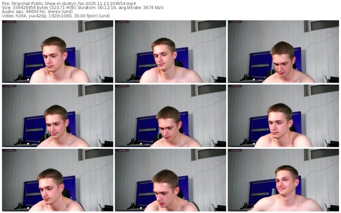 stripchat-dustyn_fox-11-13-2025-20-49-54