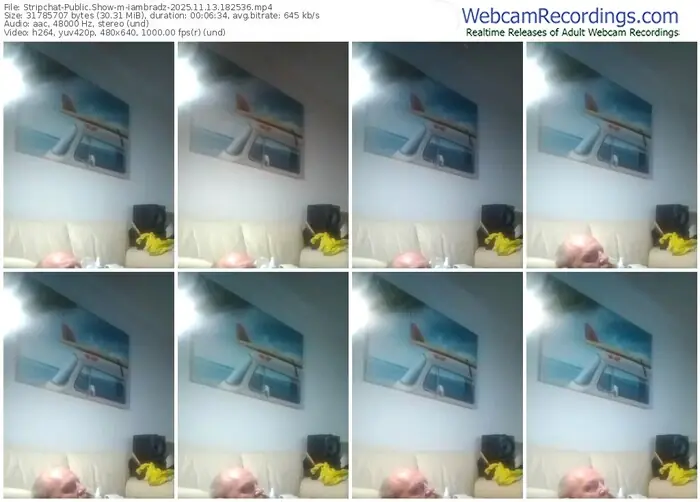 stripchat-iambradz-11-13-2025-18-25-36