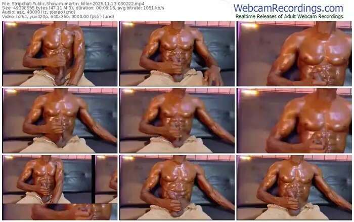 stripchat-martin_killer-11-13-2025-03-02-22