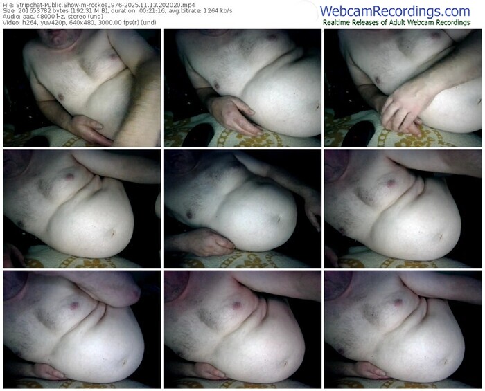 stripchat-rockos1976-11-13-2025-20-20-20