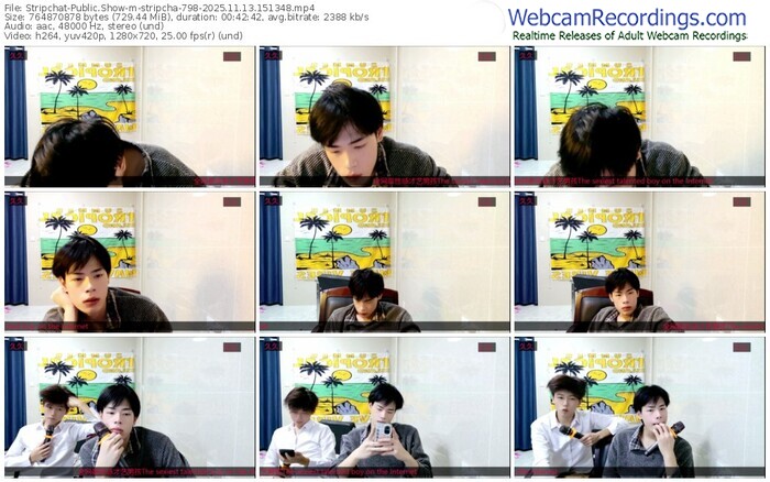 stripchat-stripcha-798-11-13-2025-15-13-48