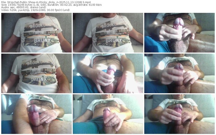 stripchat-thicky_dicky_n-11-13-2025-12-08-13