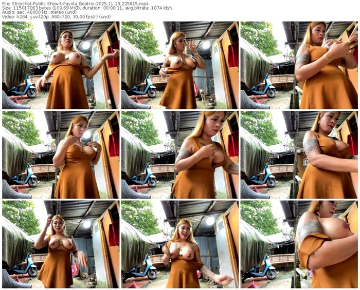 stripchat-fayola_beatrix-11-13-2025-22-58-15