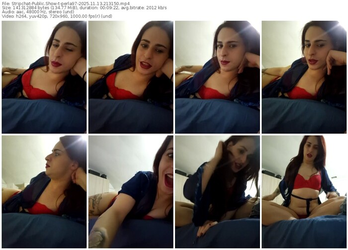stripchat-perla97-11-13-2025-21-31-50