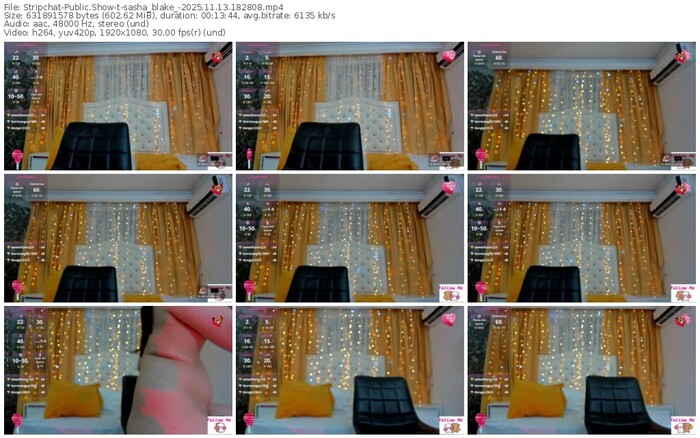 stripchat-sasha_blake_-11-13-2025-18-28-08