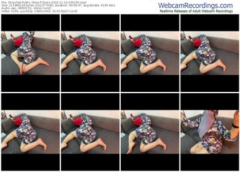 stripchat-0zozo-11-14-2025-03-52-56