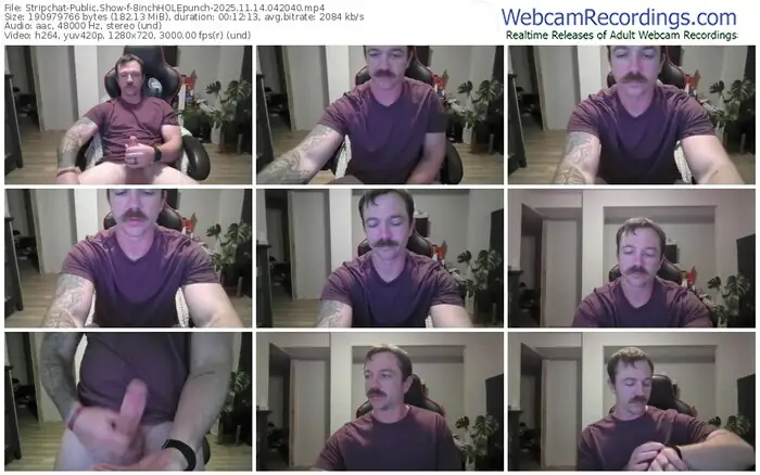 stripchat-8inchholepunch-11-14-2025-04-20-40