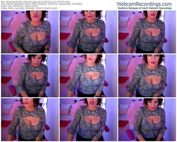 stripchat-catseys123-11-14-2025-14-19-07