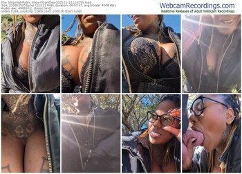 stripchat-darkdea-11-14-2025-11-41-55