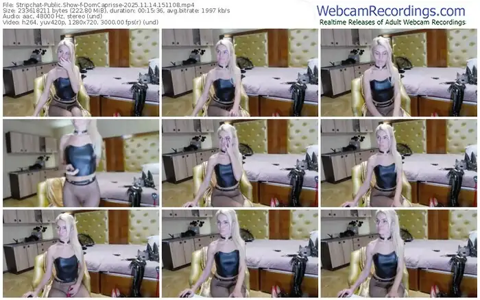 stripchat-domcaprisse-11-14-2025-15-11-08