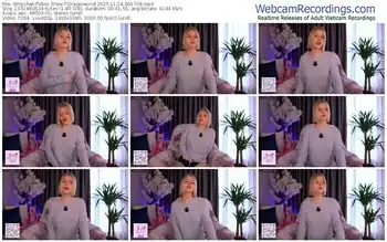 stripchat-dragonwind-11-14-2025-06-17-09