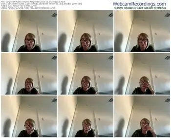 stripchat-fargo488-11-14-2025-20-11-52