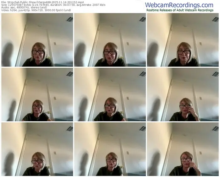 stripchat-fargo488-11-14-2025-20-11-52