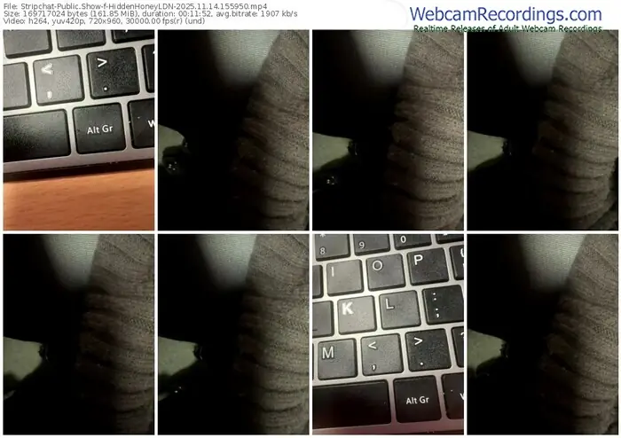 stripchat-hiddenhoneyldn-11-14-2025-15-59-50