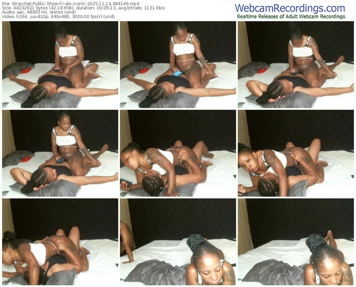 stripchat-i-am-iconic-11-14-2025-08-41-49