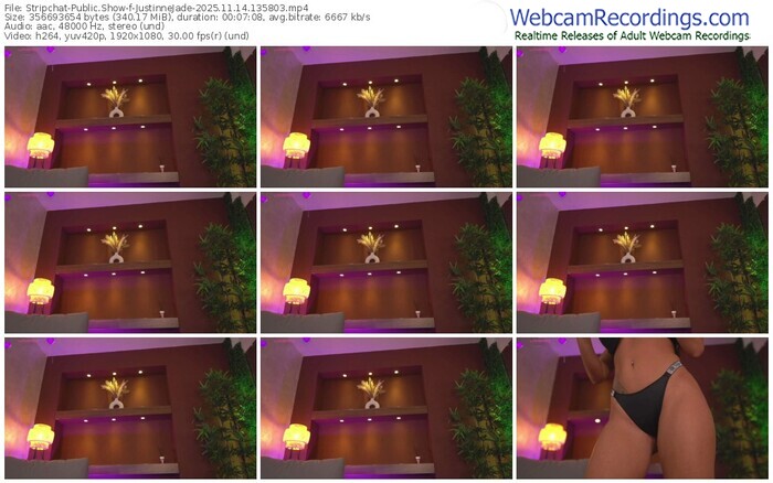 stripchat-justinnejade-11-14-2025-13-58-03