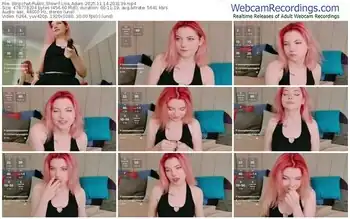 stripchat-lisa_adam-11-14-2025-20-31-39