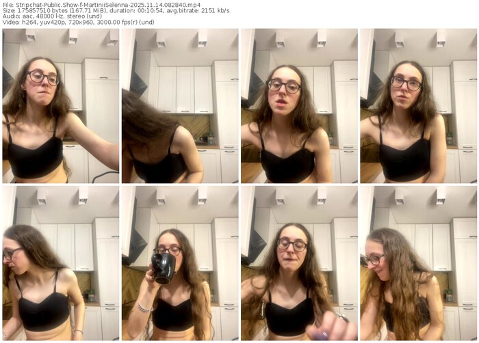 stripchat-martiniiselenna-11-14-2025-08-28-40