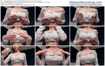 stripchat-merlepalaia-11-14-2025-23-27-34