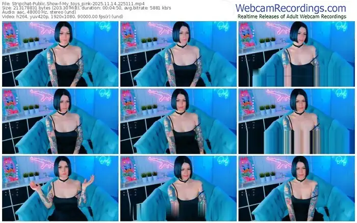stripchat-my_toys_pink-11-14-2025-22-51-11