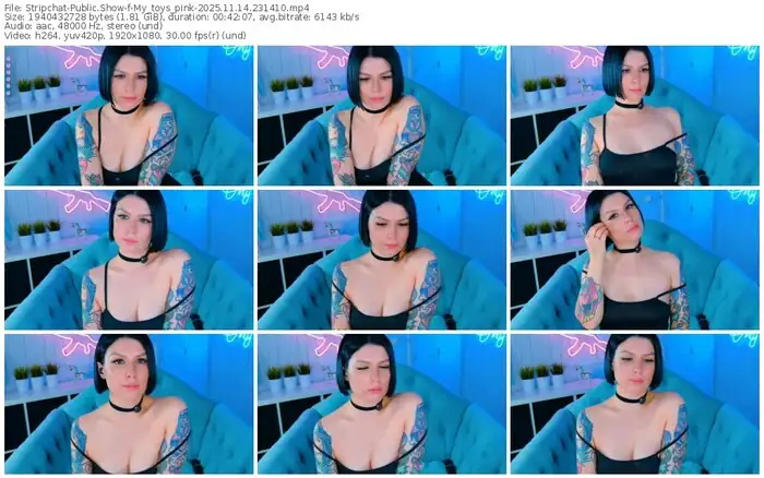 stripchat-my_toys_pink-11-14-2025-23-14-10