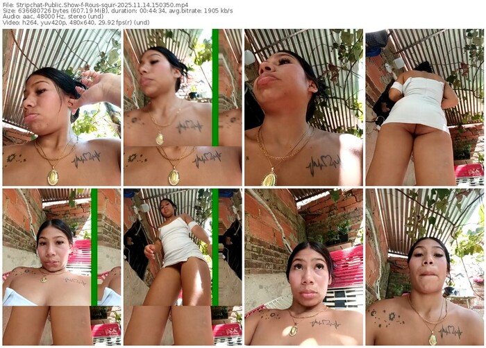 stripchat-rous-squir-11-14-2025-15-03-50