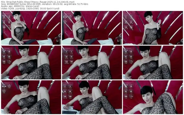 stripchat-roxxy_rouge-11-14-2025-23-41-01
