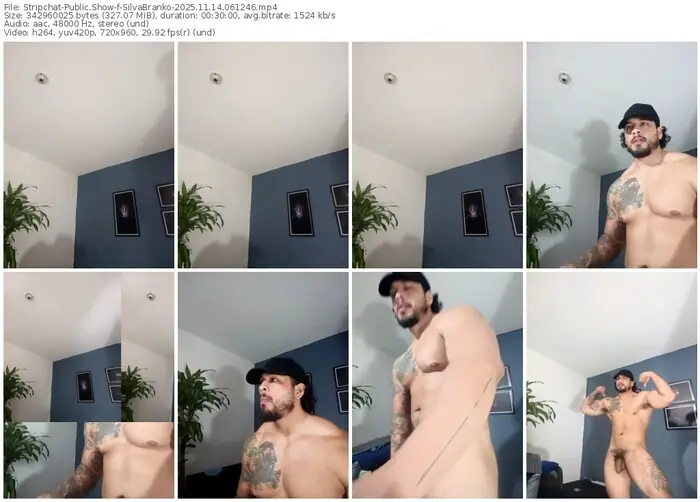stripchat-silvabranko-11-14-2025-06-12-46