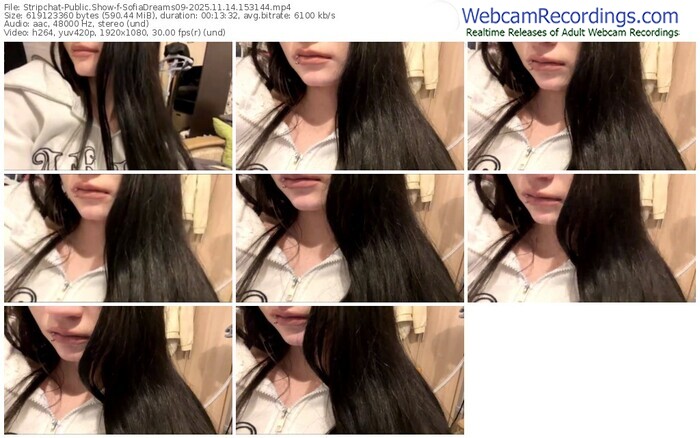 stripchat-sofiadreams09-11-14-2025-15-31-44