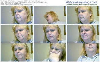 stripchat-sylviastar46-11-14-2025-20-11-05