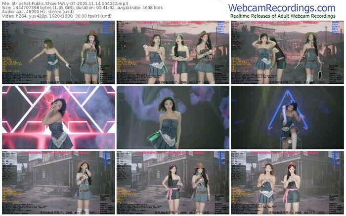 stripchat-wily-07-11-14-2025-00-40-42