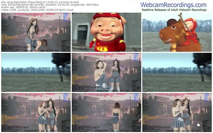 stripchat-wily-07-11-14-2025-04-21-24